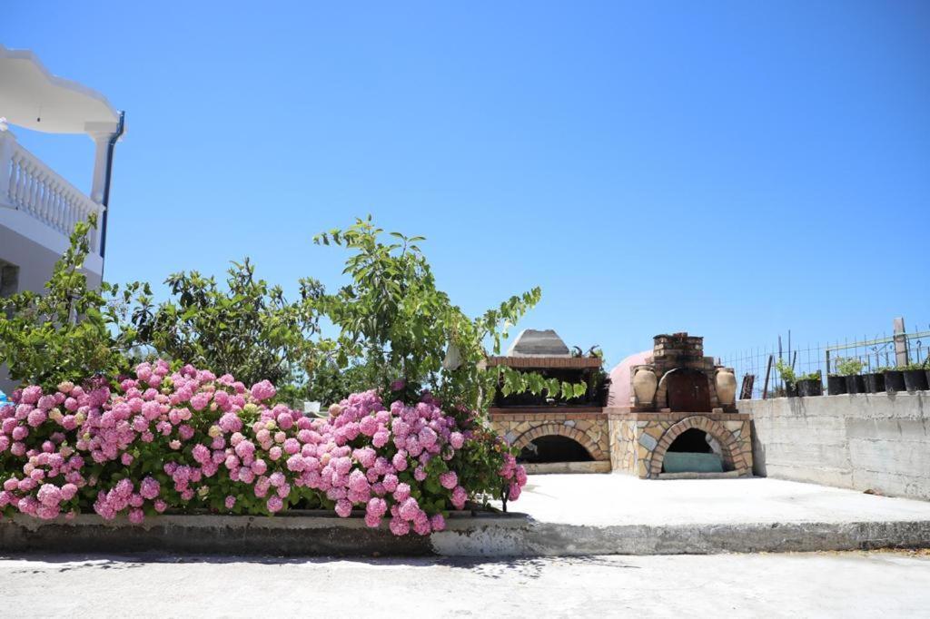 Guest House Narta Vlore Ngoại thất bức ảnh