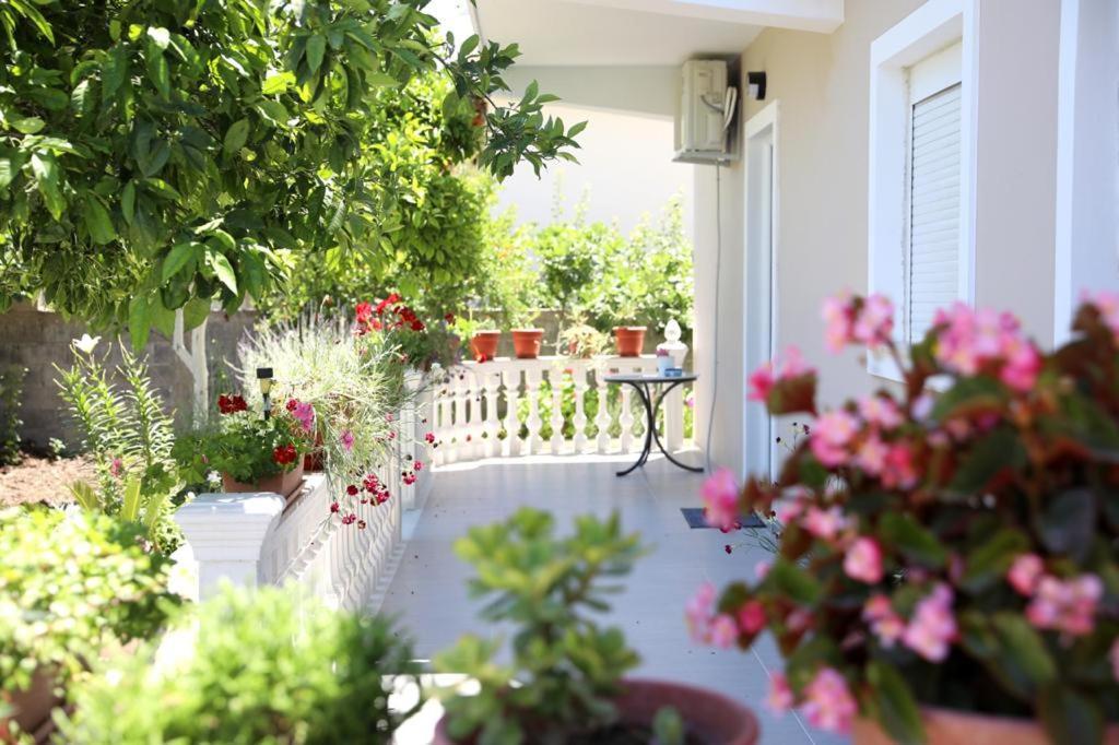 Guest House Narta Vlore Ngoại thất bức ảnh