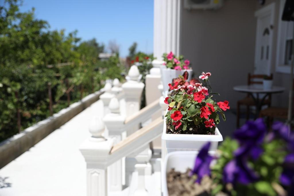 Guest House Narta Vlore Ngoại thất bức ảnh