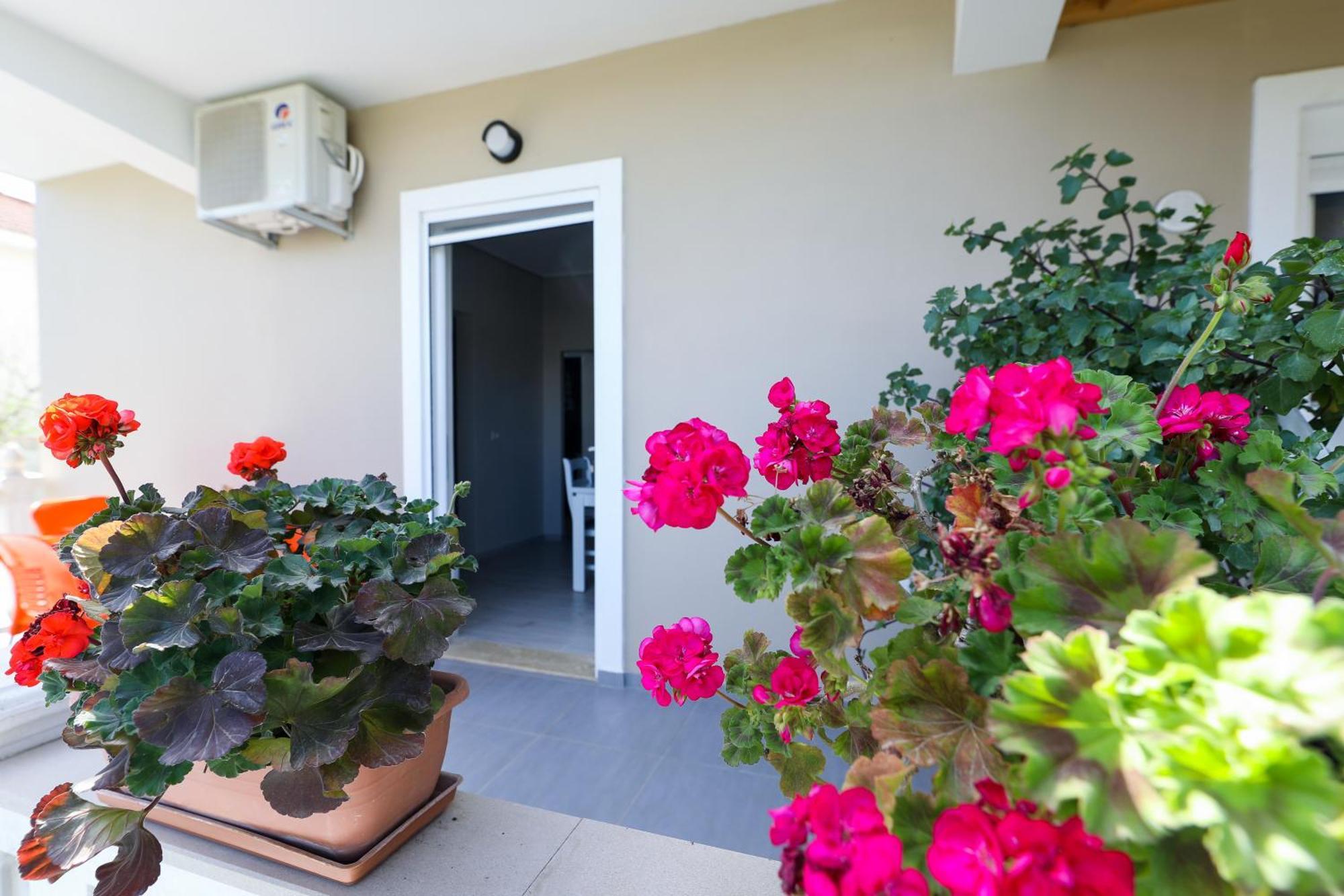 Guest House Narta Vlore Ngoại thất bức ảnh