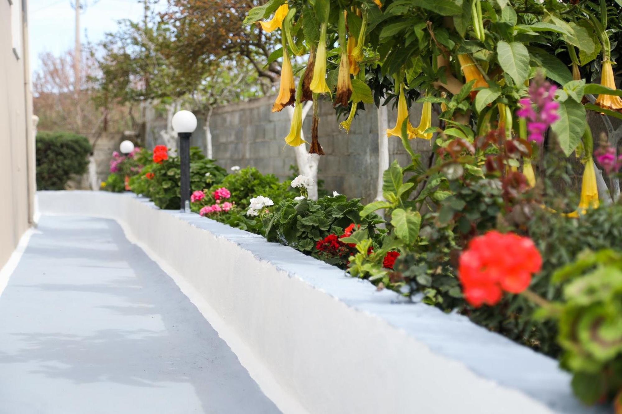 Guest House Narta Vlore Ngoại thất bức ảnh